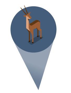 Protect native species callout illustration with a graphic of a deer